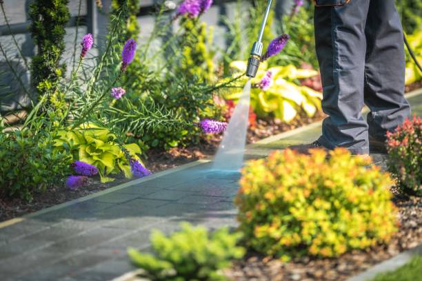 Best Pre-Holiday Cleaning  in Sedalia, MO